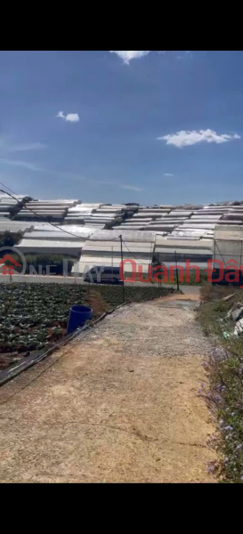 Property Search Vietnam | OneDay | Nhà ở Niêm yết bán, ĐẤT ĐẸP – GIÁ TỐT – CẦN BÁN NHANH 3 LÔ ĐẤT NỀN ĐƯỜNG Huỳnh Tấn Phát, Phường 12, TP. Đà Lạt, Lâm Đồng