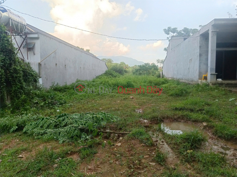 đ 450 Million BEAUTIFUL LAND - GOOD PRICE - Owner Needs to Sell Land Lot in Tam Thanh Commune, Tan Son District, Phu Tho Province.