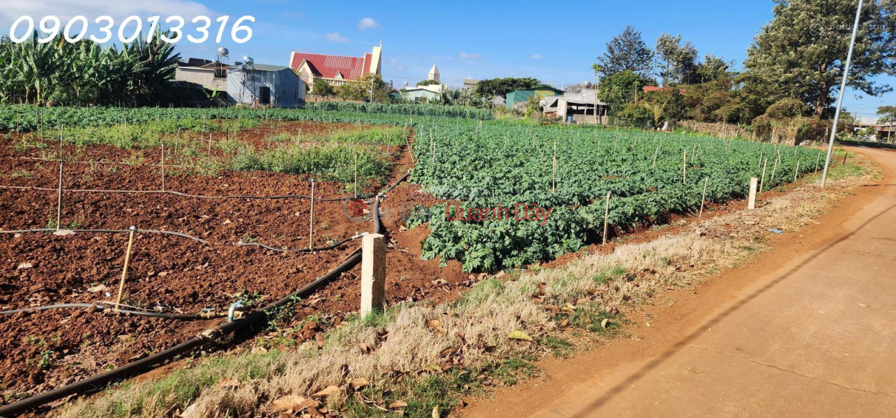 CẮT LỖ BÁN NHANH LÔ ĐẤT siêu đẹp tại TuTra Xã Đơn Dương, Lâm Đồng Niêm yết bán