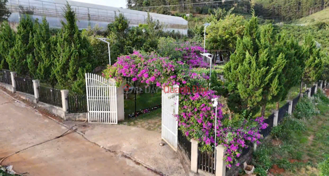 Cho thuê homestay khuôn viên 2.000m2 4 bungalow view rừng thông giá 35 triệu tại Tà Nung Đà Lạt Lâm Đồng, Việt Nam, Cho thuê, đ 35 triệu/ tháng