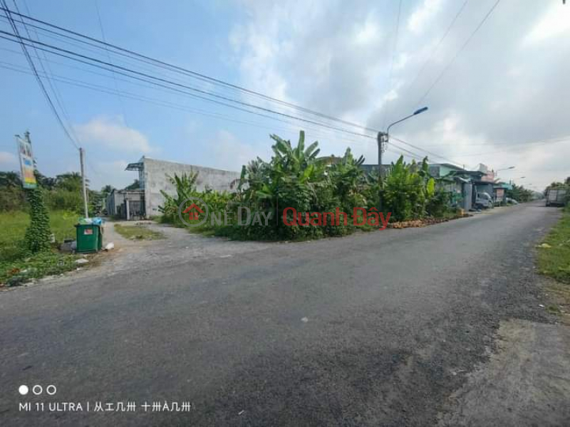 Property Search Vietnam | OneDay | Residential | Sales Listings, PRIME LAND - GOOD PRICE - For Quick Sale Land Lot, Street 2\\/9, Thanh Phuoc Ward, Binh Minh Town, Vinh Long