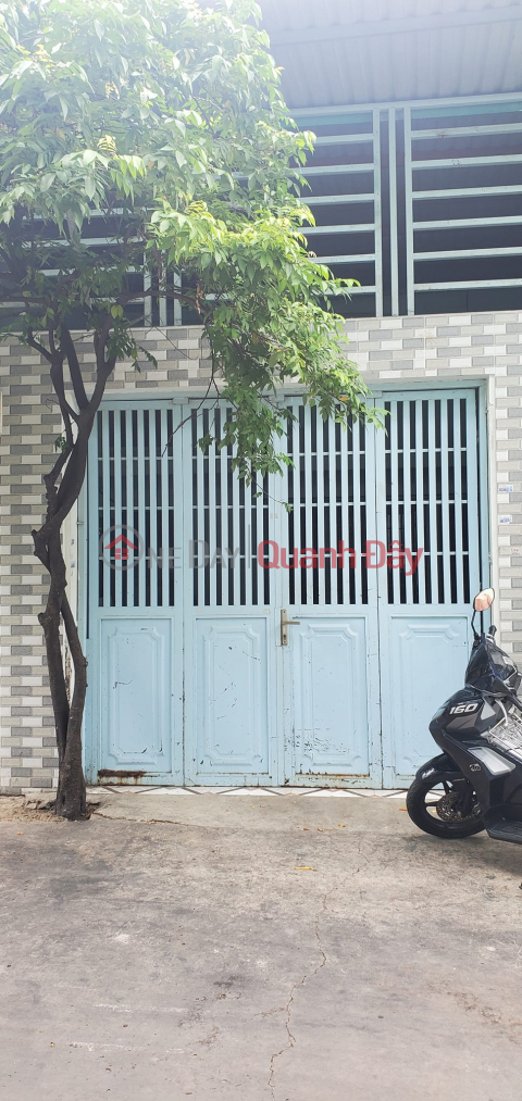 House for sale - Tan Hoa Dong - Ward Binh Tri Dong - Binh Tan - Pine alley - 79m2 (5x15.6) - 4.2 billion _0