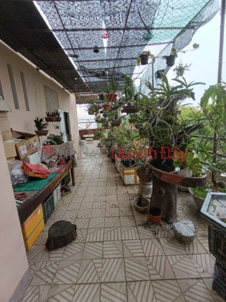 Property Search Vietnam | OneDay | Nhà ở, Niêm yết bán | ► Mặt Tiền Mai Hắc Đế 118m2, ngang 6m, 3 tầng chắc chắn