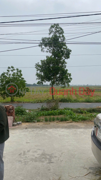 Land for sale in Kien Xuong district, area 160m2, price only about 3.9 billion Sales Listings