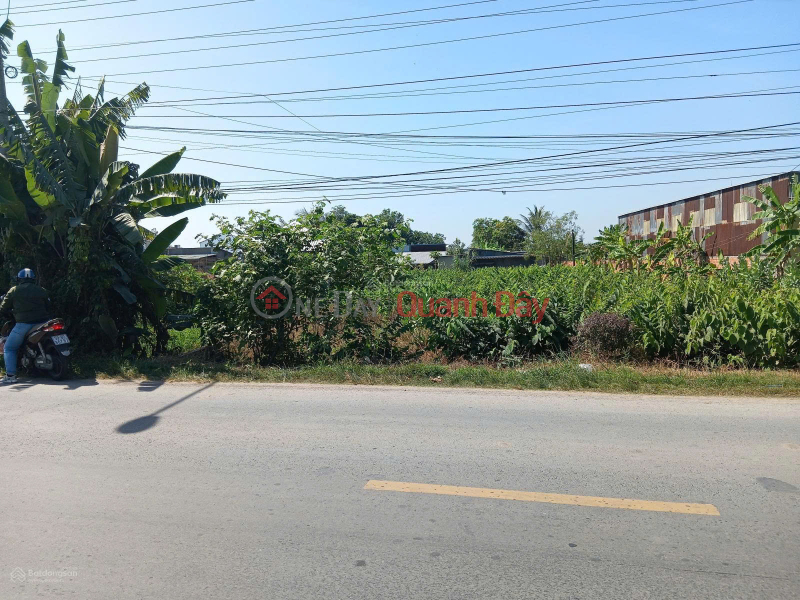 Bán Đất tại Quốc lộ 54, xã Lai Vung (xãTân Thành, Huyện Lai Vung) giá tốt chỉ với 4,1 tỷ | Việt Nam Bán, đ 4,1 tỷ