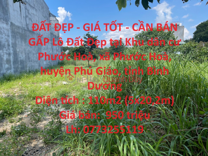 ĐẤT ĐẸP - GIÁ TỐT - CẦN BÁN GẤP Lô Đất Đẹp tại huyện Phú Giáo, tỉnh Bình Dương Niêm yết bán