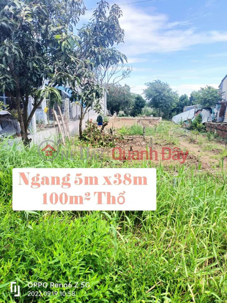 FOR SALE TAN Nghia Commune, Dong Thap District, Dong Thap Province Sales Listings