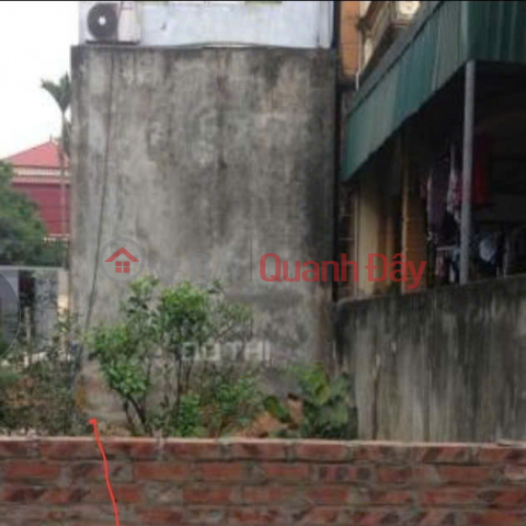 Selling 53m2 land right on the alley with car access to Ngoc Hoi, 4.5 billion _0