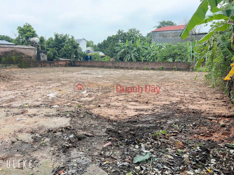 Property Search Vietnam | OneDay | Nhà ở Niêm yết bán | ĐÁT TÂN MIMH GIÁ CHỈ HƠN 500 TR CHO MỘT LO DT TỪ 56 CHO ĐẾN 90 M