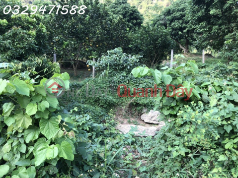 Land for rent for Homestay, resort in Yen Thuy, Hoa Binh _0