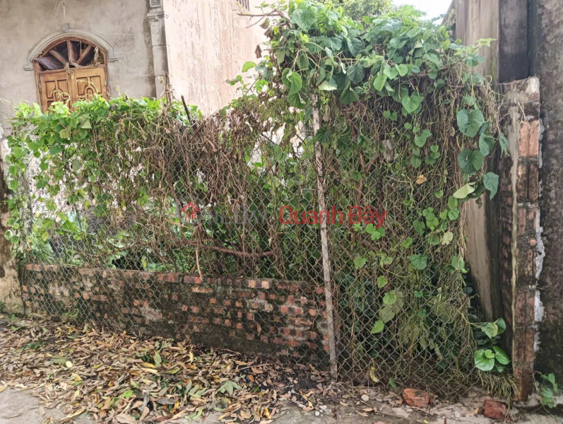 Title: NEED TO TRANSFER A BEAUTIFUL LAND LOT IN Ninh So Commune - Thuong Tin District - Hanoi Sales Listings