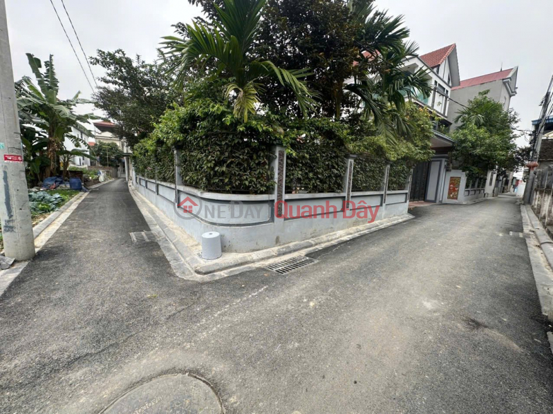 Property Search Vietnam | OneDay | Nhà ở | Niêm yết bán QUỸ ĐẤT CUỐI CÙNG 45m² chỉ 2,x tỷ tại Đường Yên, Đông Anh - Ô tô đỗ cửa - Đường nhựa đẹp