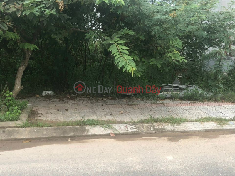 The land is located on the main road | Vietnam Sales | ₫ 375.25 Million