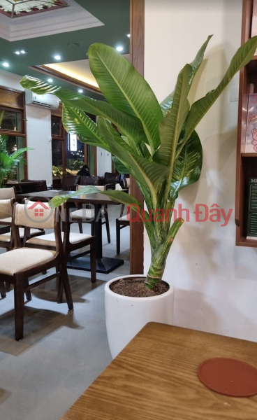 HOUSE FOR RENT ON BUSINESS CORNER ON NGUYEN VAN LOC STREET, Area 150M2, 1 FLOOR, 17M, PRICE 40 MILLION (WITH TL) | Vietnam Rental, đ 40 Million/ month