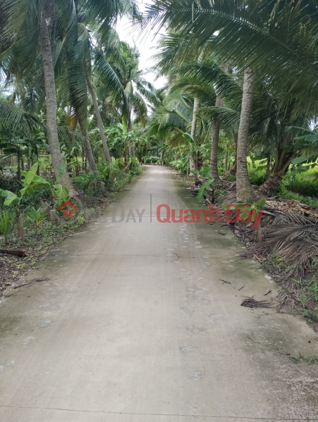 Property Search Vietnam | OneDay | Sales Listings The road frontage is 2km from Mac Dinh Chi bridge