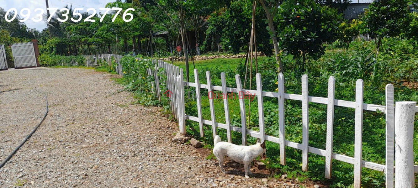 Property Search Vietnam | OneDay | Residential | Sales Listings | For sale: A prime 13,000m2 plot of residential land located right in the center of Chau Pha commune, surrounded by a stream.