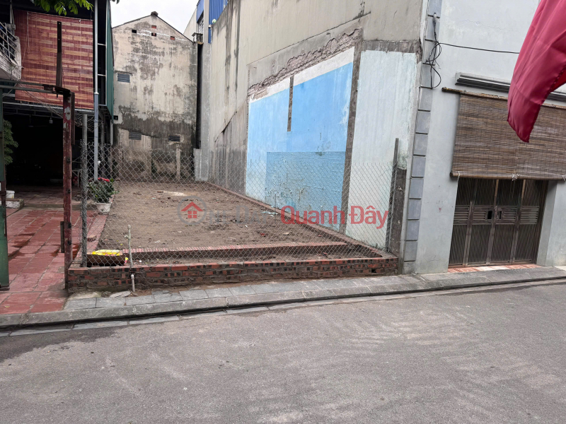Land for sale in Dong Anh town - 72m2 of new shop land - Cars can avoid each other, Vietnam Sales | đ 7.2 Billion