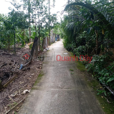 OWNER Needs To Quickly Sell Garden Plot In Giong Trom Town - Ben Tre _0