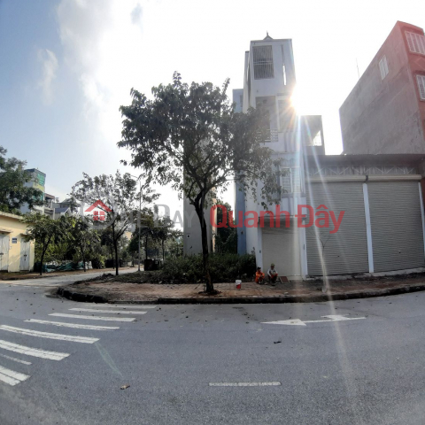 31-hectare land plot for auction in Trau Quy, Gia Lam, Hanoi. 232m2. 12m frontage, 12m road. Good price. Contact 0989894845 _0