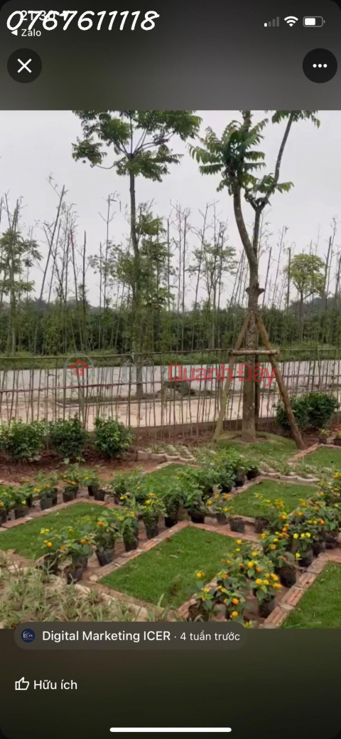 Cemetery land for sale in Long Bien, high terrain, synchronous, beautiful feng shui, 70 million\/1 plot _0