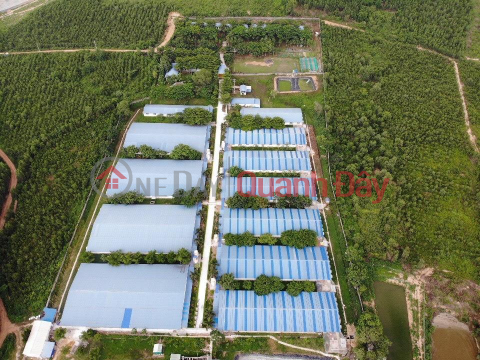 PRIMARY LAND - GOOD PRICE - Pig Farm For Sale In Xuan Bac Commune, Xuan Loc - Dong Nai _0