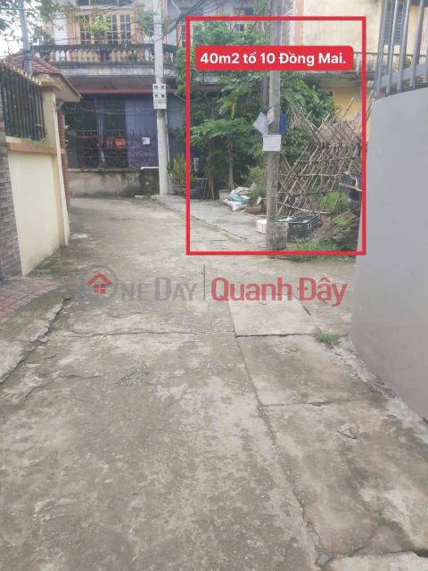 HÀNG FO CẦN BÁN 40M TẠI ĐỒNG MAI-HÀ ĐÔNG-HÀ NỘI _0