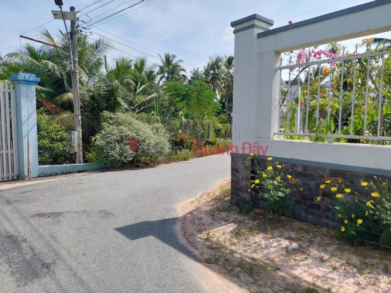 Property Search Vietnam | OneDay | Residential Sales Listings | Owner Needs to Sell a Land Lot in a Prime Location in Thanh Dien, Chau Thanh, Tay Ninh - EXTREMELY PREFERENTIAL PRICE