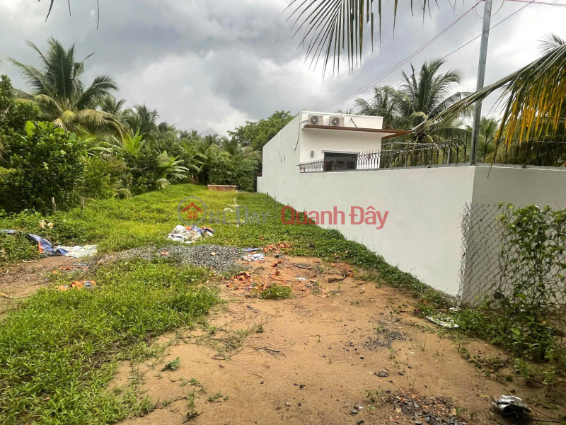 BEAUTIFUL LAND - GOOD PRICE - OWNER FOR SALE At Long Hung, Chau Thanh, Tien Giang | Vietnam, Sales, đ 790 Million