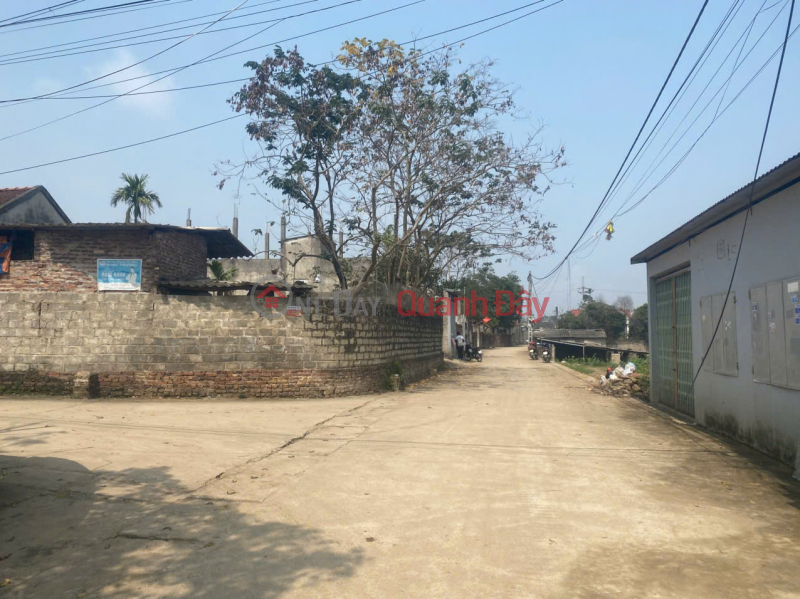Property Search Vietnam | OneDay | Nhà ở, Niêm yết bán, CHÍNH CHỦ BÁN LÔ ĐẤT 162,4M TẠI HOÀNG VĂN THỤ-CHƯƠNG MỸ-HÀ NỘI