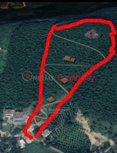 CC sells the most beautiful resort land in Tien Xuan: 20,000m² (residential land, agricultural land, production forest land) only 14.5 billion _0