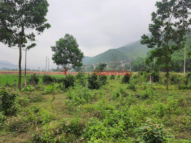 The owner sells garden land in front of asphalt road DT 601, Hoa Vang District, Da Nang City Vietnam | Sales, ₫ 8.09 Billion
