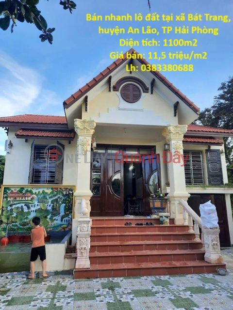 LÔ ĐẤT ĐẸP- ĐẦU TƯ LÀ SINH LỜI chính chủ cần bán nhanh lô đất tại huyện An Lão, TP Hải Phòng _0