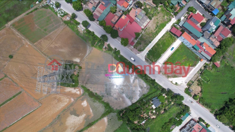 Selling land at auction in Dinh Trang, Duc Tu, Dong Anh for over 2 BILLION _0