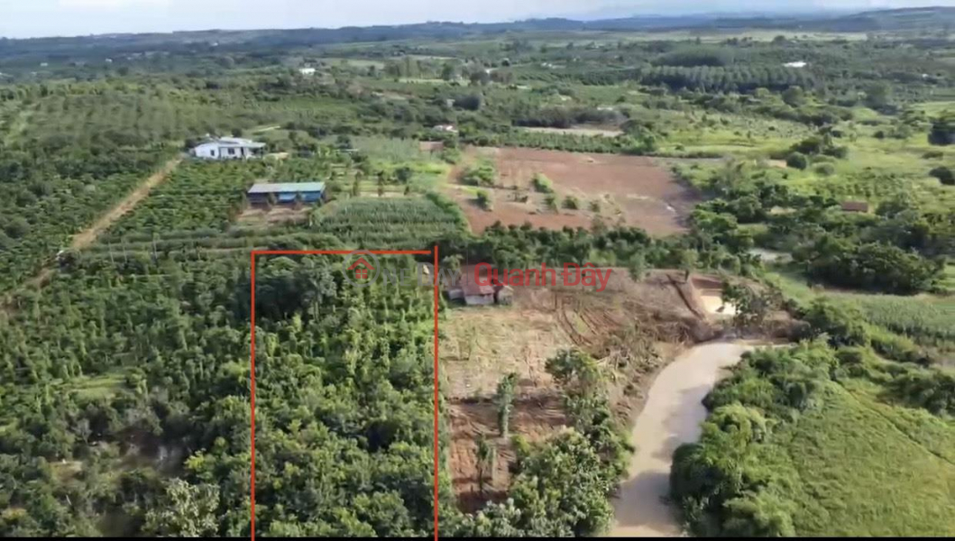 BEAUTIFUL LAND - GOOD PRICE - For Quick Sale Land Lot Prime Location In Dak Gan Commune, Dak Mil, Dak Nong Sales Listings