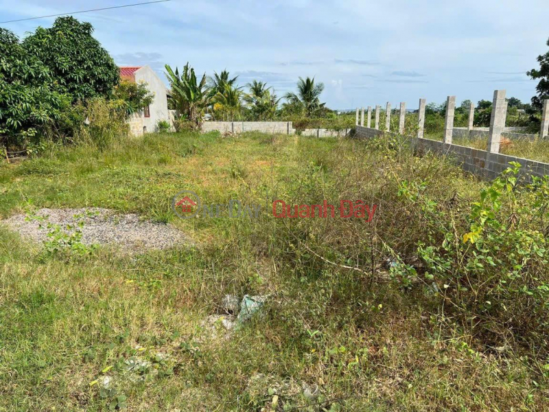 Property Search Vietnam | OneDay | Residential, Sales Listings | BEAUTIFUL LAND - GOOD PRICE - ORIGINAL SELLING Urgently In Hamlet 1, Ham Liem