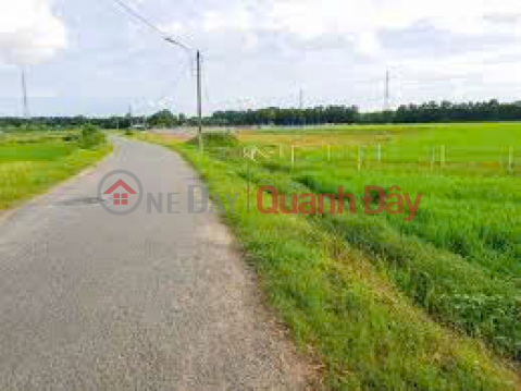 Agricultural and residential land for sale MTĐ No. 20, Lac Tanh Town, Tanh Linh District, Binh Thuan Province _0