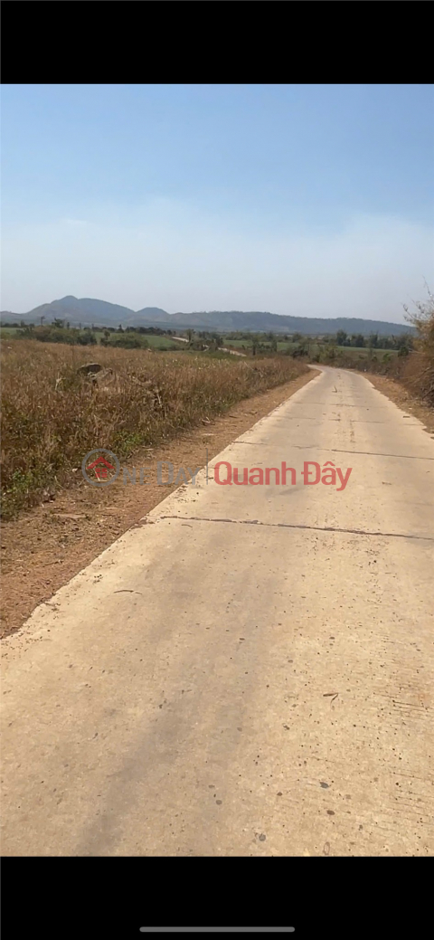 SỞ HỮU NGAY Lô Đất Huyện Ea Súp Đắk Lắk diện tích 30000 m² giá 2,5 tỷ _0