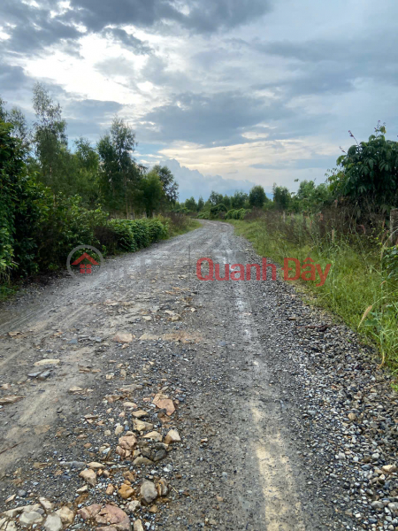 đ 2.1 Billion, PRIME LAND FOR SALE AT A GOOD PRICE in Phu Cuong Hamlet, Ham Kiem Commune, Ham Thuan Nam District, Binh Thuan Province