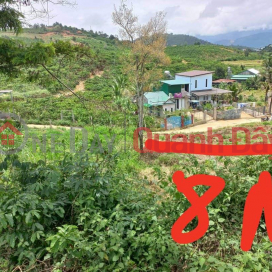 BEAUTIFUL LAND - GOOD PRICE - Land Lot For Sale Prime Location In Di Linh Town, Di Linh District, Lam Dong _0