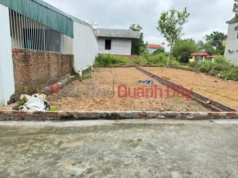 Bán đất Xuân Long, Tân Dân, Sóc Sơn. Gần chợ Nam Cương, gần đường quốc lộ 35 _0