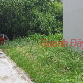 Land for sale in Dong Anh, Vo Nguyen Giap gantry, 10m deep, to build a very beautiful tube house _0