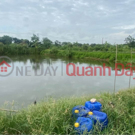 Need to sell quickly Pond Land Plot in Nam Van - Nam Dinh City. _0