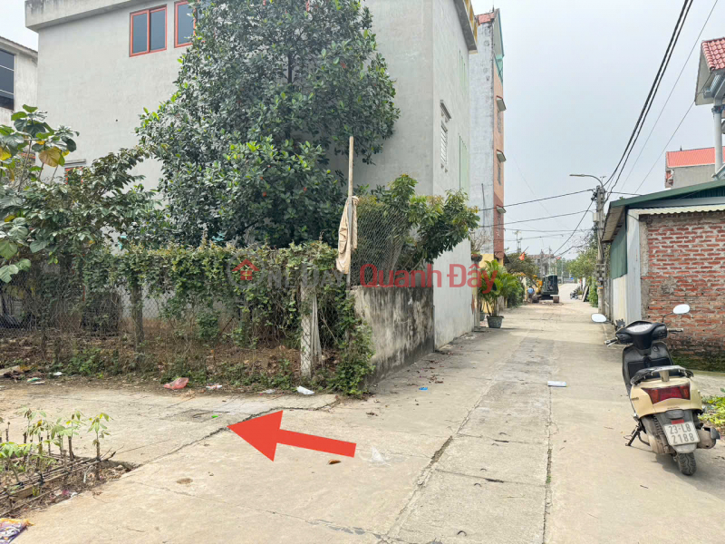 Extremely rare opportunity! 64m² plot of land in Group 9, Quang Minh - right next to the industrial zone, priced at only 1.8 billion VND. Sales Listings