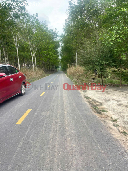 Property Search Vietnam | OneDay | Nhà ở, Niêm yết bán Bán đất tại đường Lò Rèn, Long Hòa, 4 tỷ, 880 m2, giá tốt, view đẹp