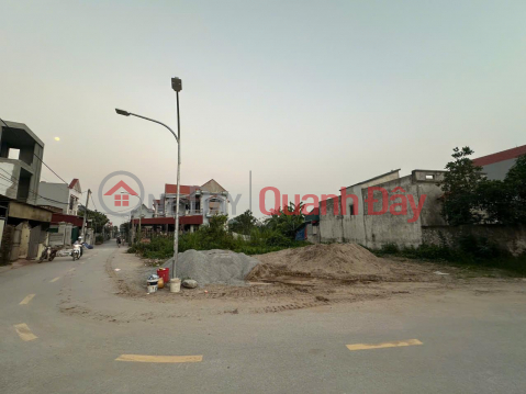 Owner Needs to Sell Corner Lot in Nhat Tri Residential Group, Tien Noi Ward, Duy Tien, Ha Nam _0