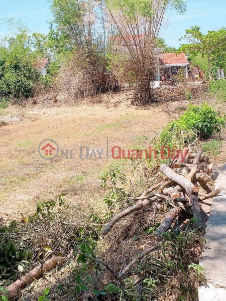 Property Search Vietnam | OneDay | Residential | Sales Listings | OWNER NEEDS TO SELL BEAUTIFUL 3-FACED LOT OF LAND IN Thang Binh - Quang Nam