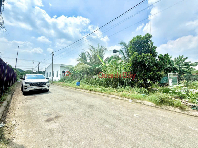 Property Search Vietnam | OneDay | Nhà ở | Niêm yết bán, Đất Biệt Thự view sông Đồng Nai, P. Hoá An, đường nhựa 8m giá rẻ chỉ 3,5 tỷ