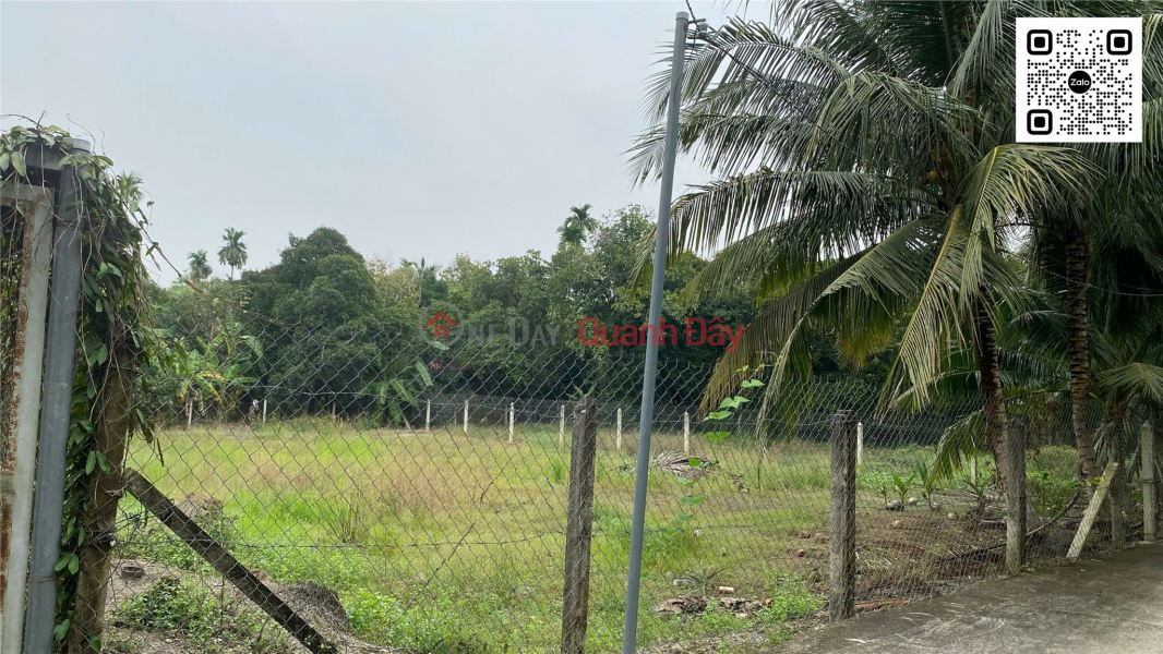 Property Search Vietnam | OneDay | Nhà ở | Niêm yết bán | Bán đất An Sơn 32, Thuận An – 686m² (21,2x34m) – Thổ cư 200m² – Giá đầu tư! LH: 0904 218 171