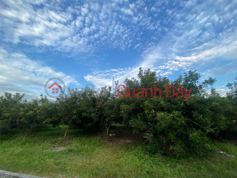 ĐẦU TƯ SINH LỜI – CHÍNH CHỦ CẦN BÁN ĐẤT Tại Xã Trường Đông, thị xã Hòa Thành, tỉnh Tây Ninh _0