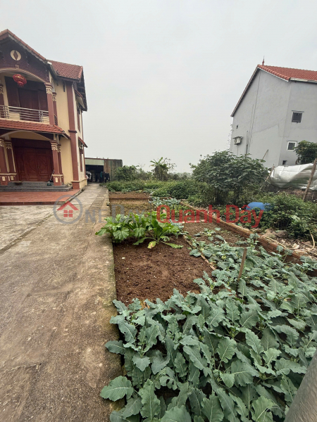 CẦN BÁN 50 M2 ĐÂT ĐẶNG XÁ - GIA LÂM, GIÁ ĐẦU TƯ, LIÊN HỆ 0985865658, Việt Nam, Bán | đ 3,5 tỷ